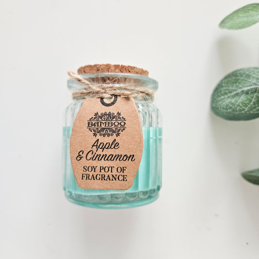 APPLE & CINNAMON SOY CANDLE