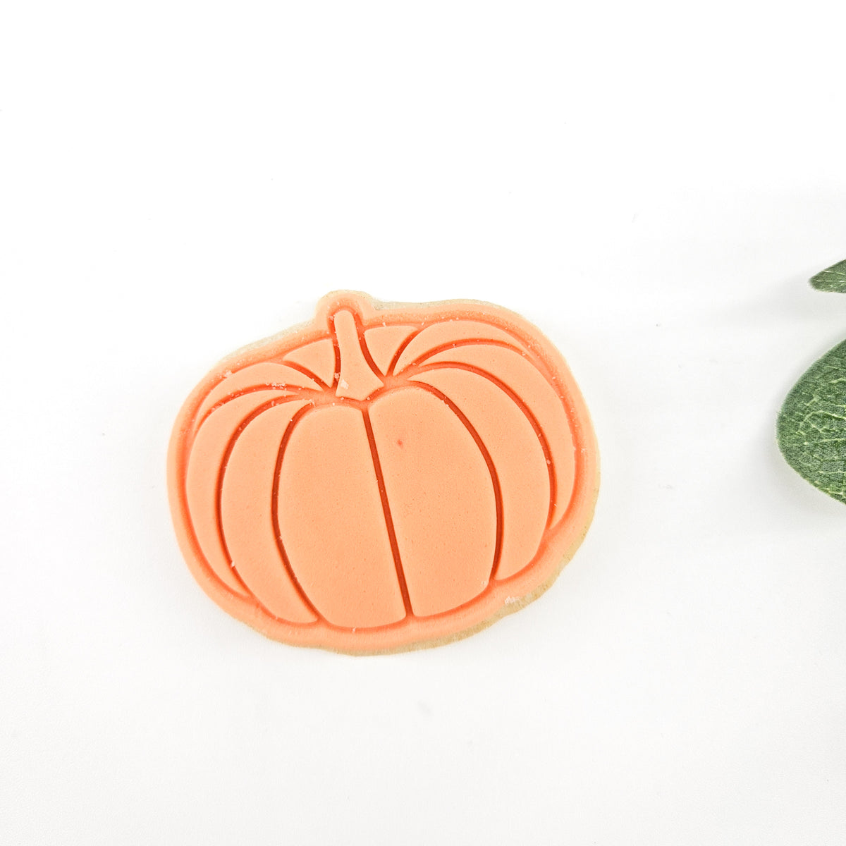 Pumpkin Vegan Biscuit | Build Your Own Gift Box