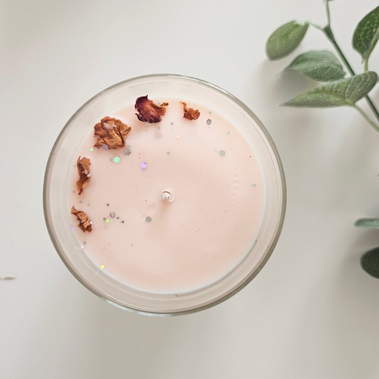 LUXURY BOTANICAL SOY CANDLE | TOASTED MARSHMALLOWS