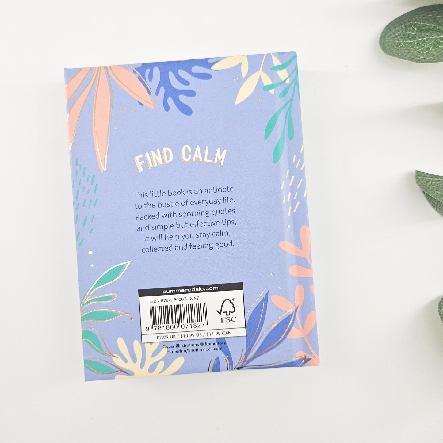 CALM FOR EVERY DAY MINI BOOK