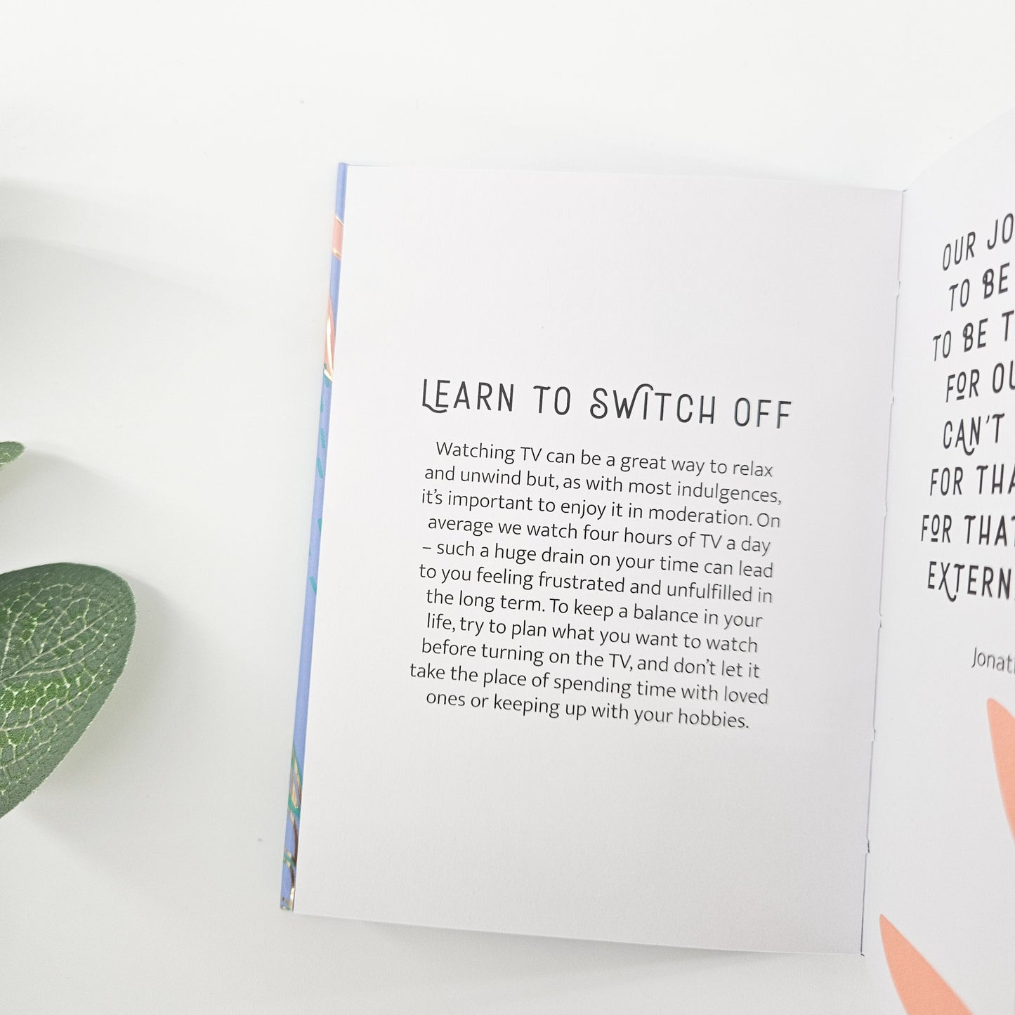 Calm for Every Day Mini Book | Health & Wellness Gifts for her