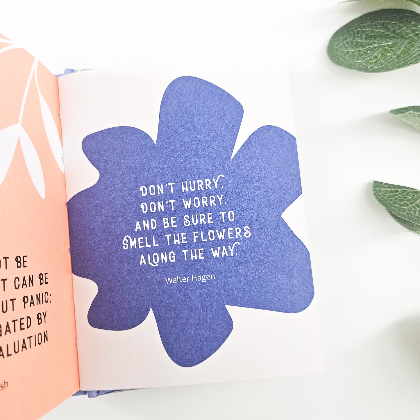 Calm for Every Day Mini Book | Wellness & Self-Care Gift