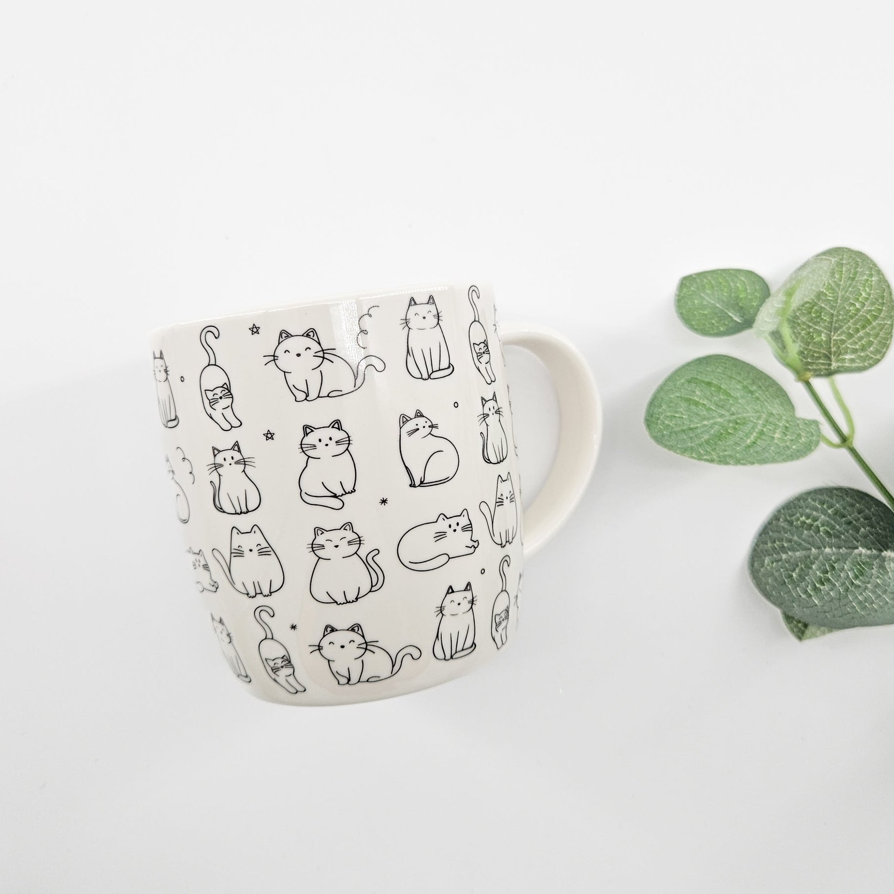 Cat Lover Mug | Cute Ceramic Cat Mug Birthday Gift Hamper Next Day Delivery