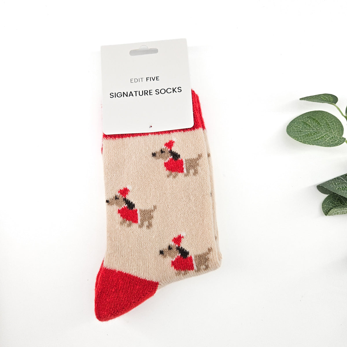 Festive Dachshund Signature Socks | Christmas Gift