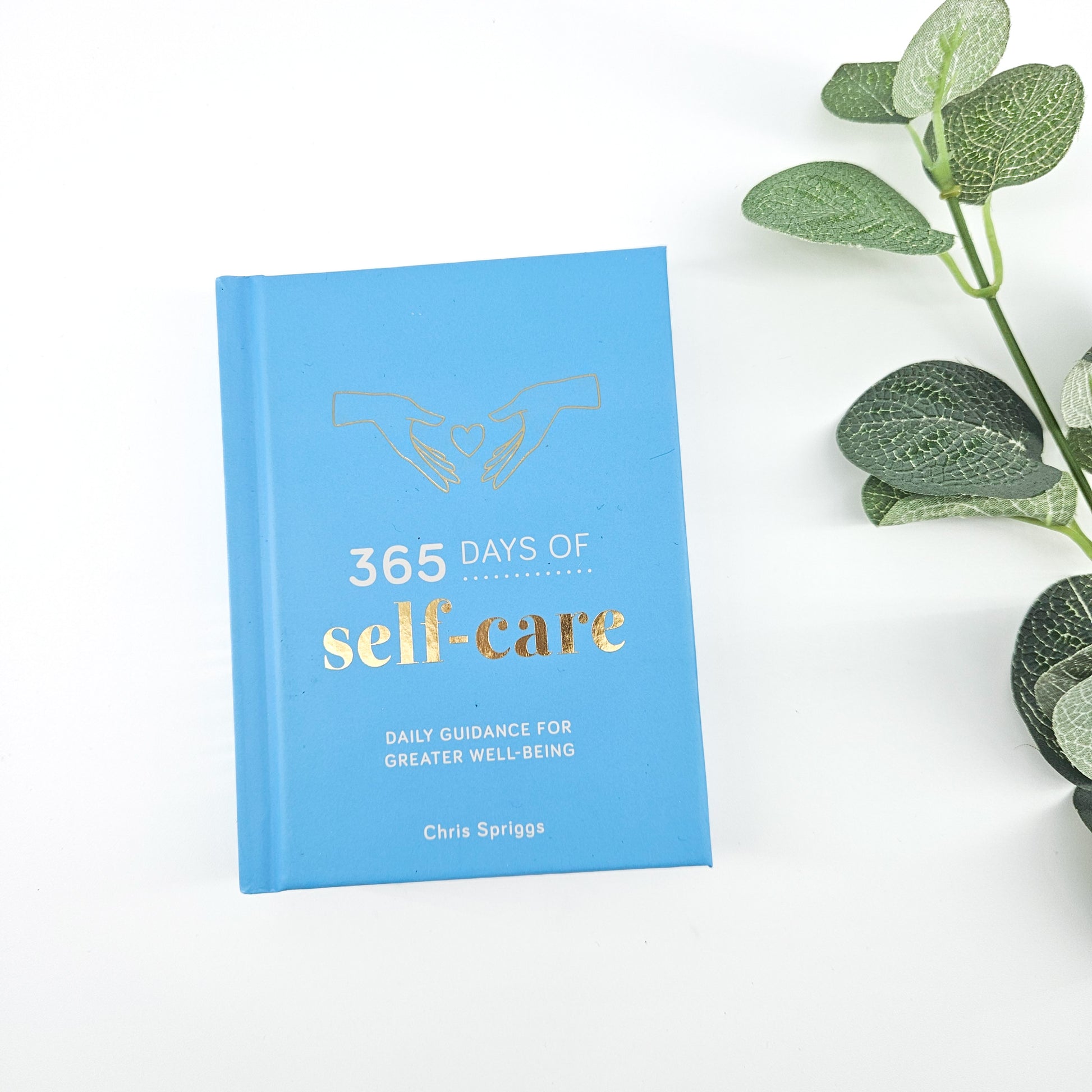 Self Care Mini Book | 365 Days Wellbeing Gift